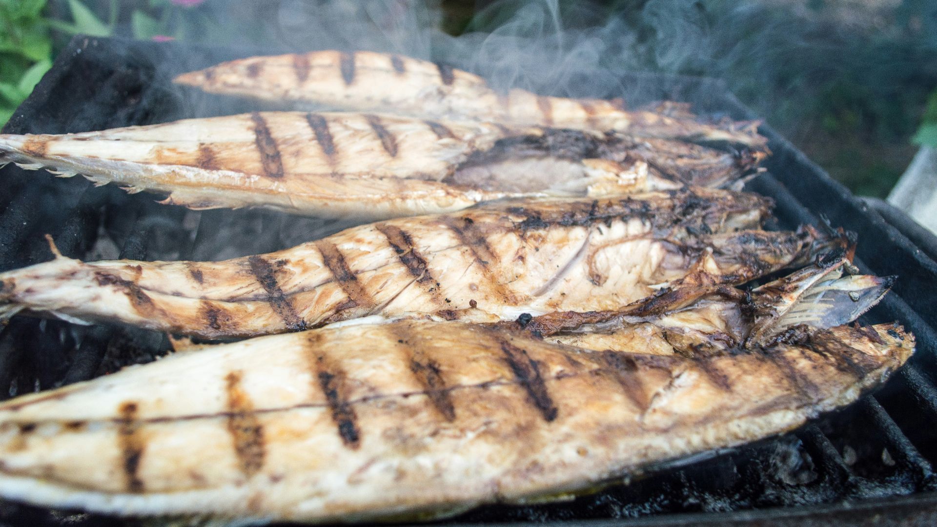 grilled fish