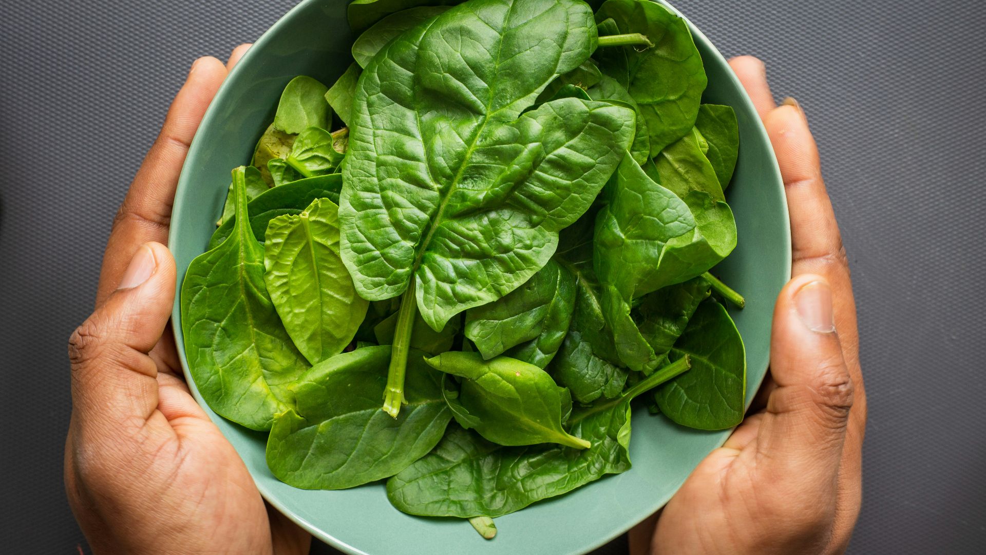 green leaves on blue plastic bowl