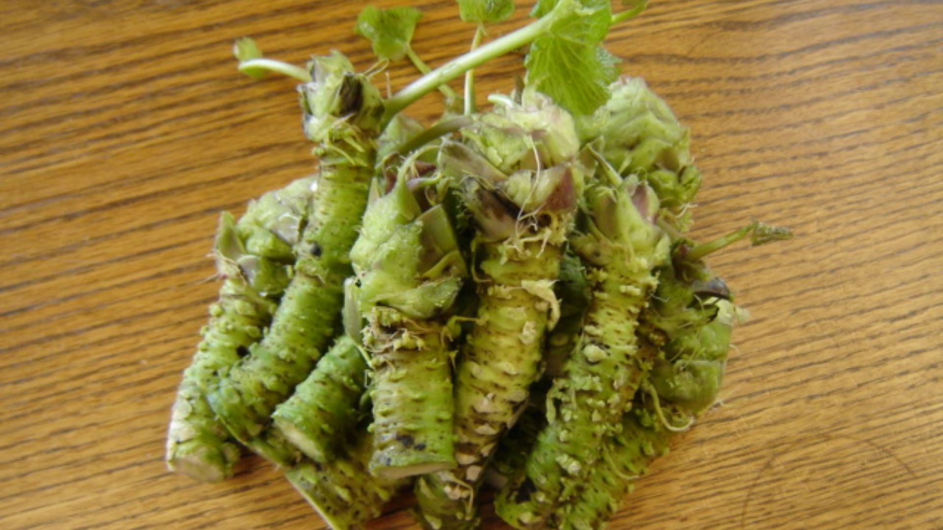 File:Fresh wasabi rhizomes.jpg