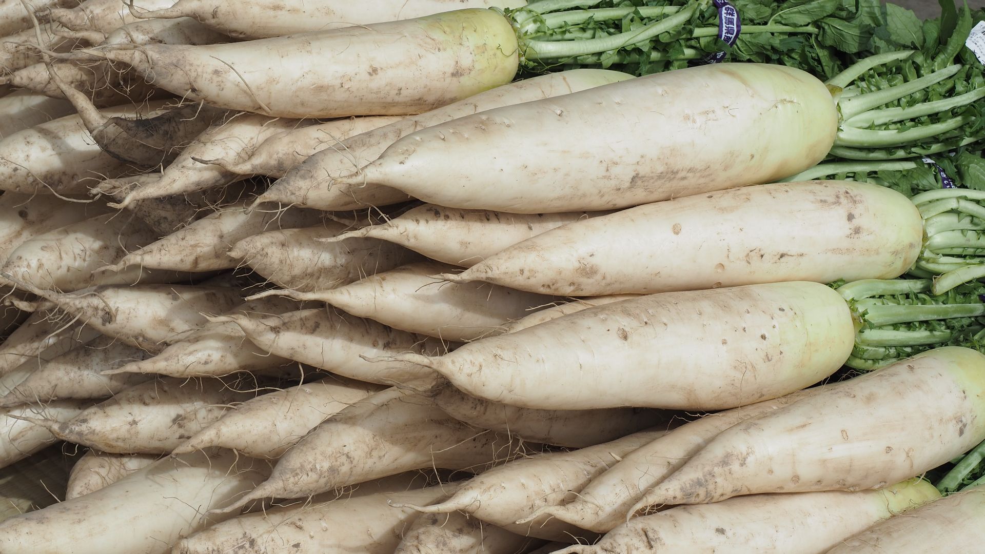 File:Daikon 20220423 083159.jpg