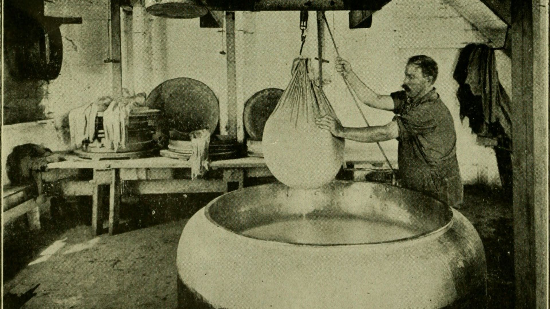 File:Cheese; a short treatise on the manufacture of various kinds of domestic and foreign cheese, Cheddar, Dutch, Swiss, Italian, French, Limburger, Neufchatel, cream, cottage cheese, etc (1918) (20415886020).jpg