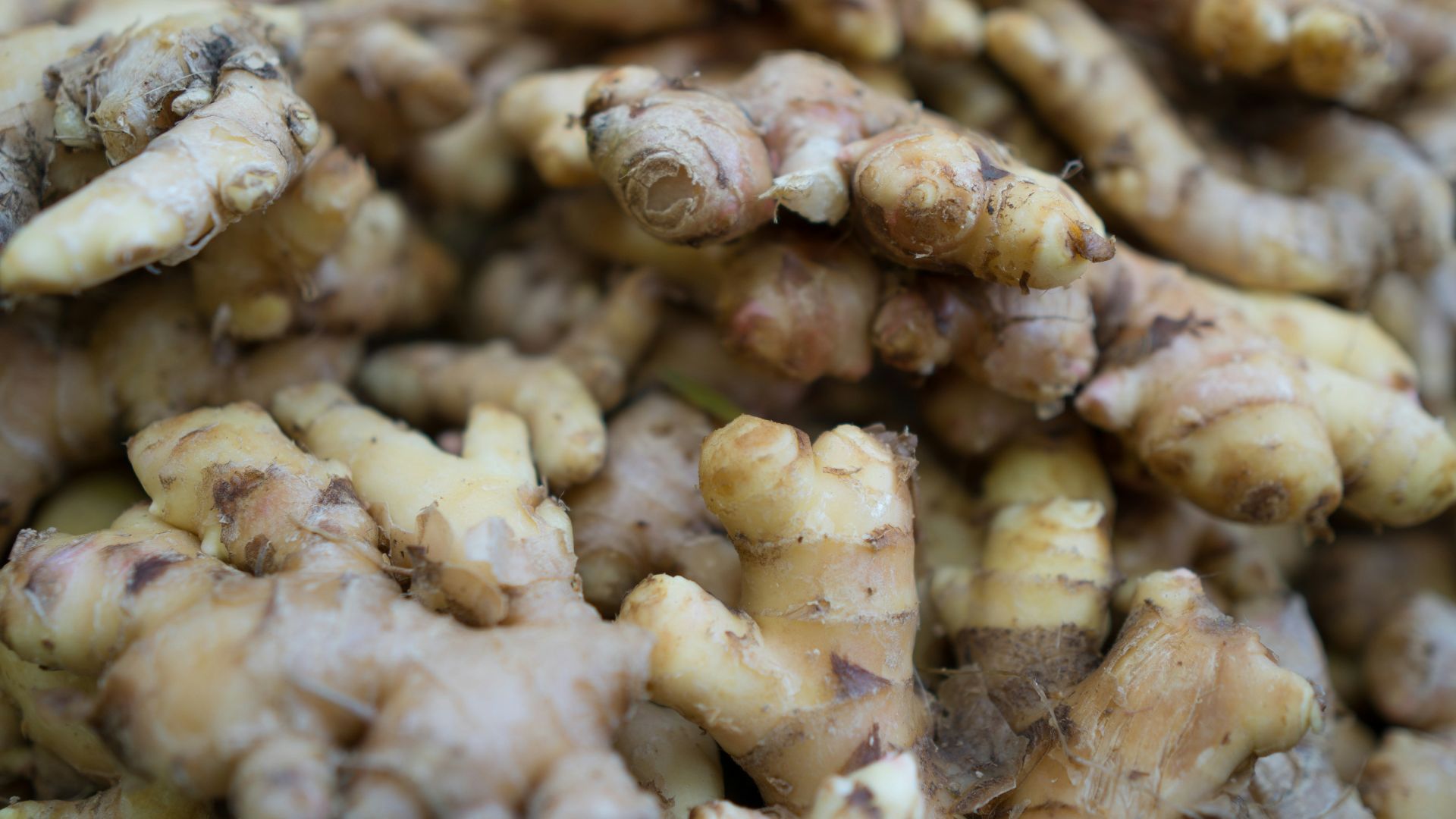 a close up of a bunch of ginger roots