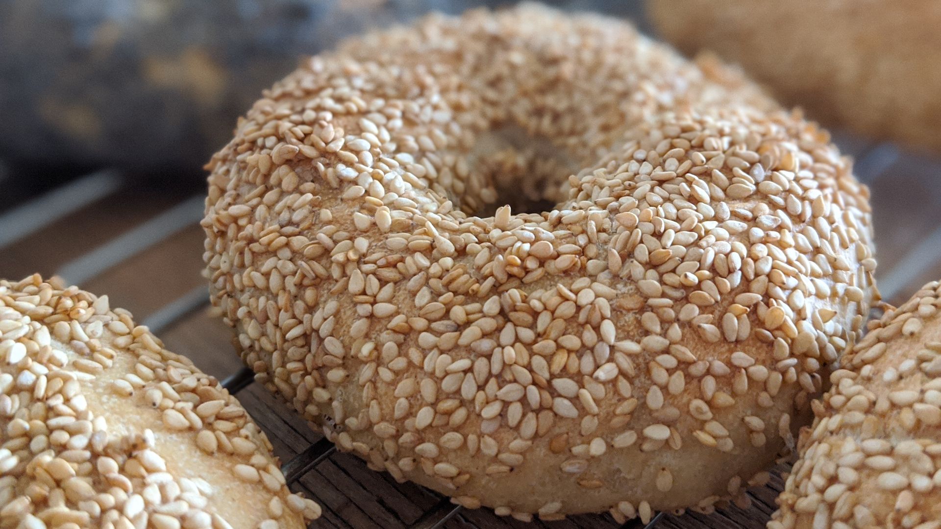 File:Bagel with sesame 3.jpg