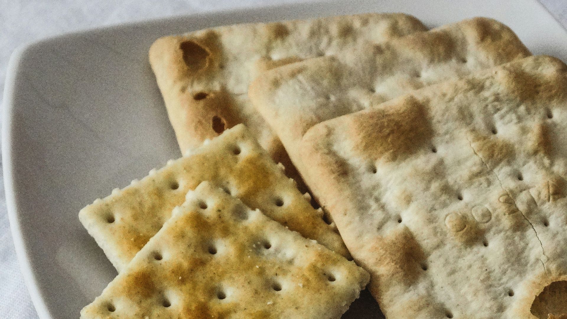 brown biscuits on white ceramic plate