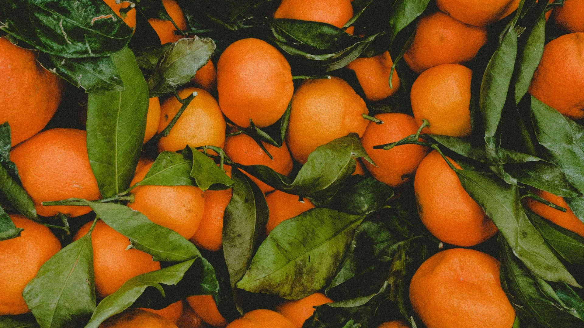 bunch of orange fruits