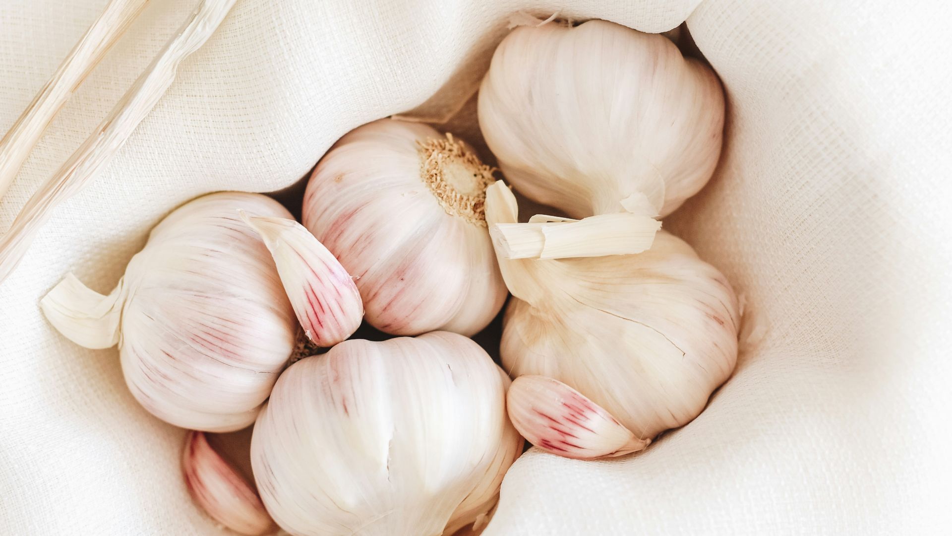 five garlic on white textile