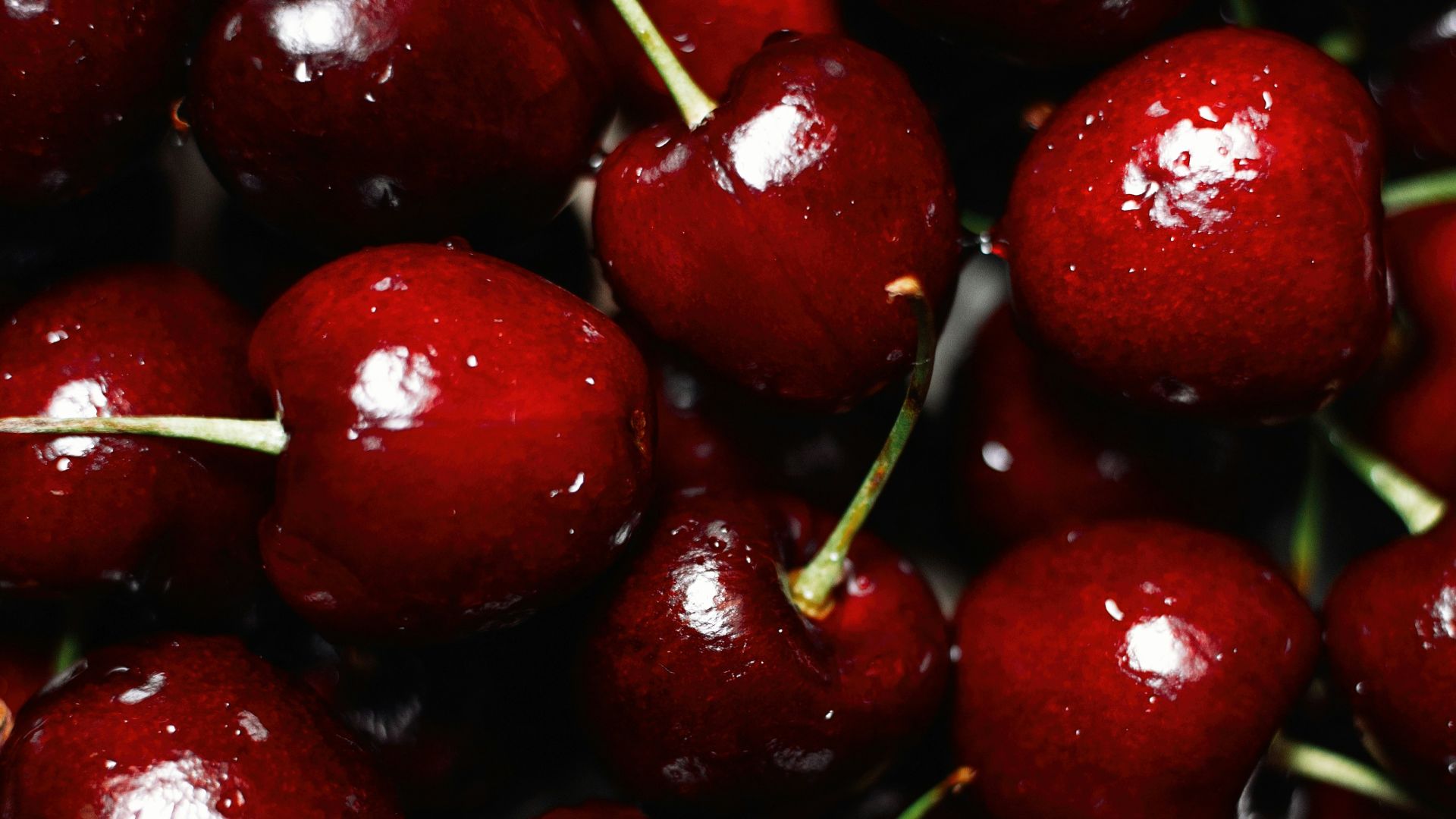 red cherry fruit in close up photography