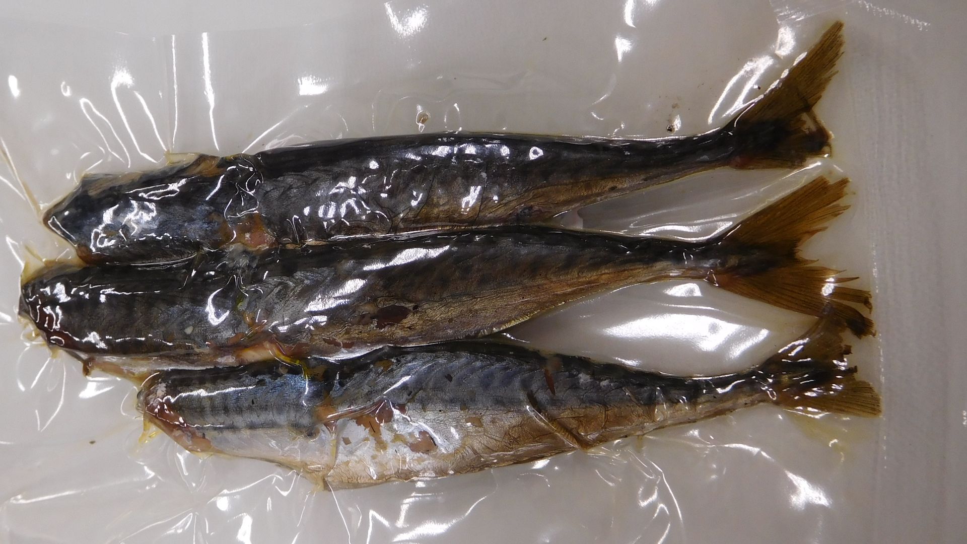 File:Kajika no Aburi, Smoked Mackerel from Kajika, Japan.jpg