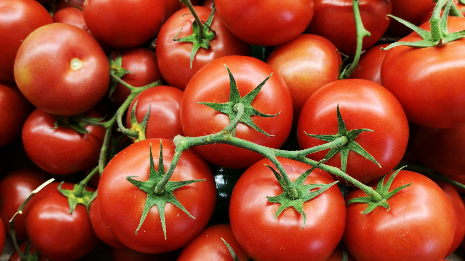 red tomatoes on brown wooden table