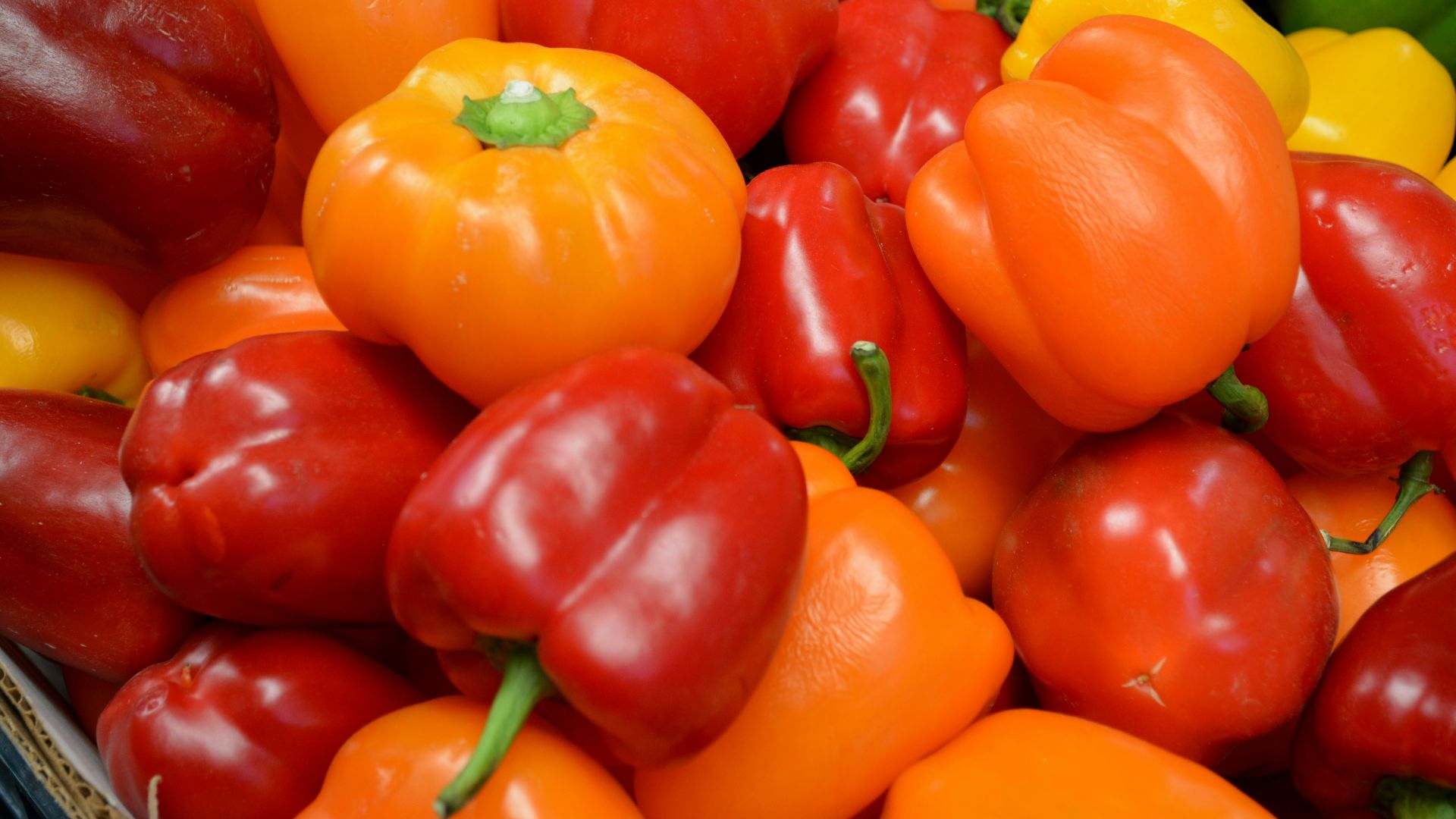 red and yellow bell peppers