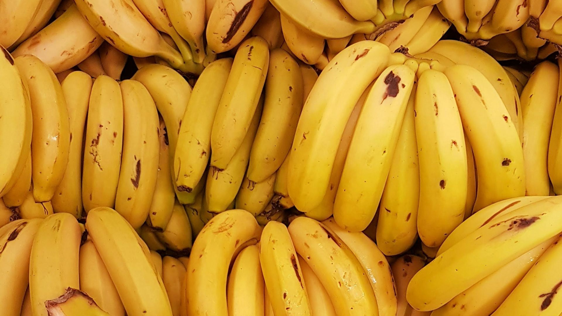 yellow banana fruit on brown wooden table