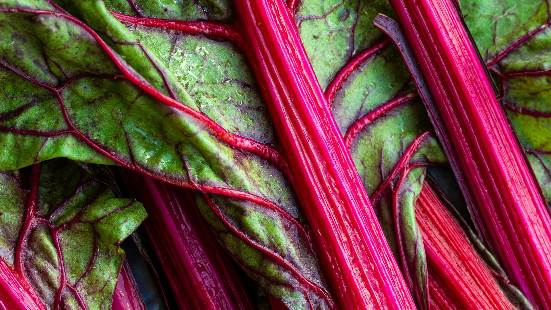 a close up of a bunch of red and green vegetables