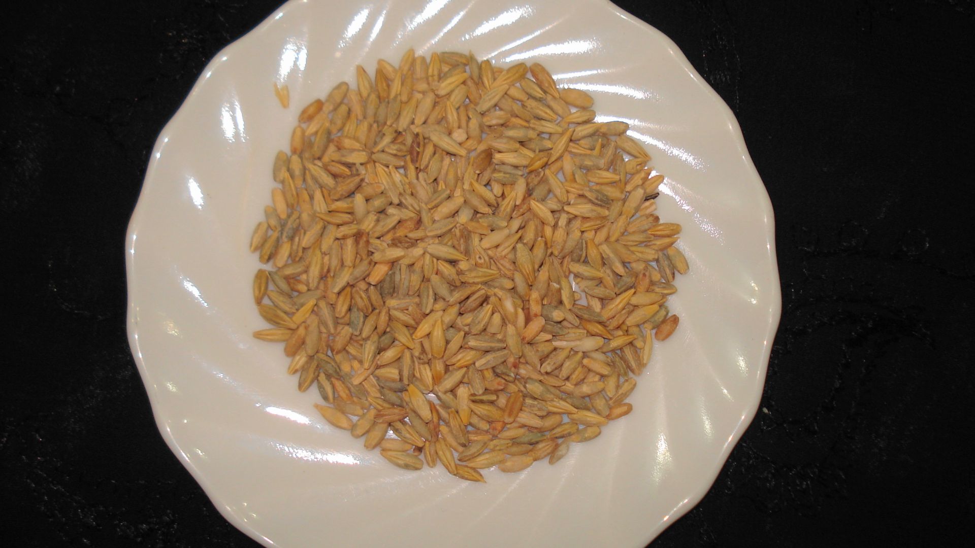 File:Barley (Jo).JPG