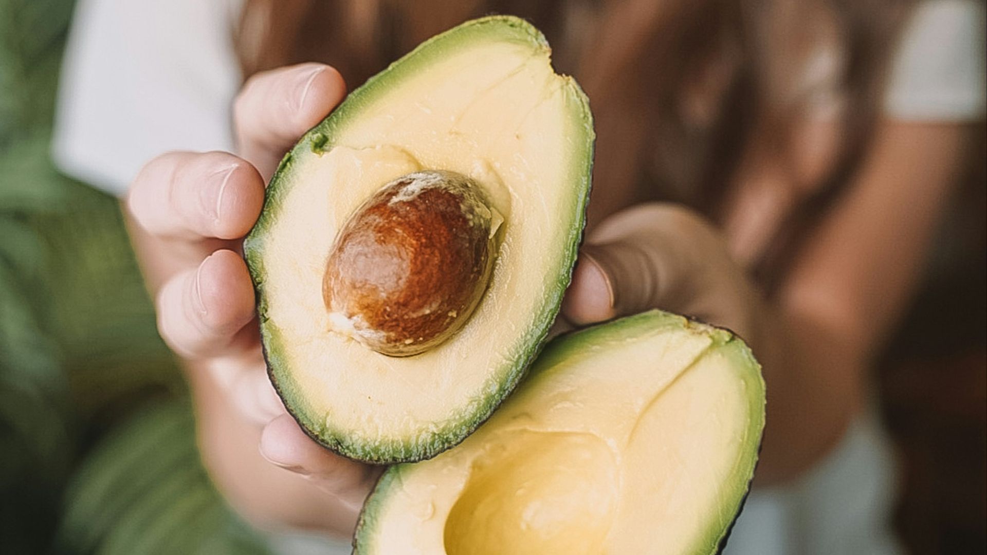 sliced avocado fruit on persons hand
