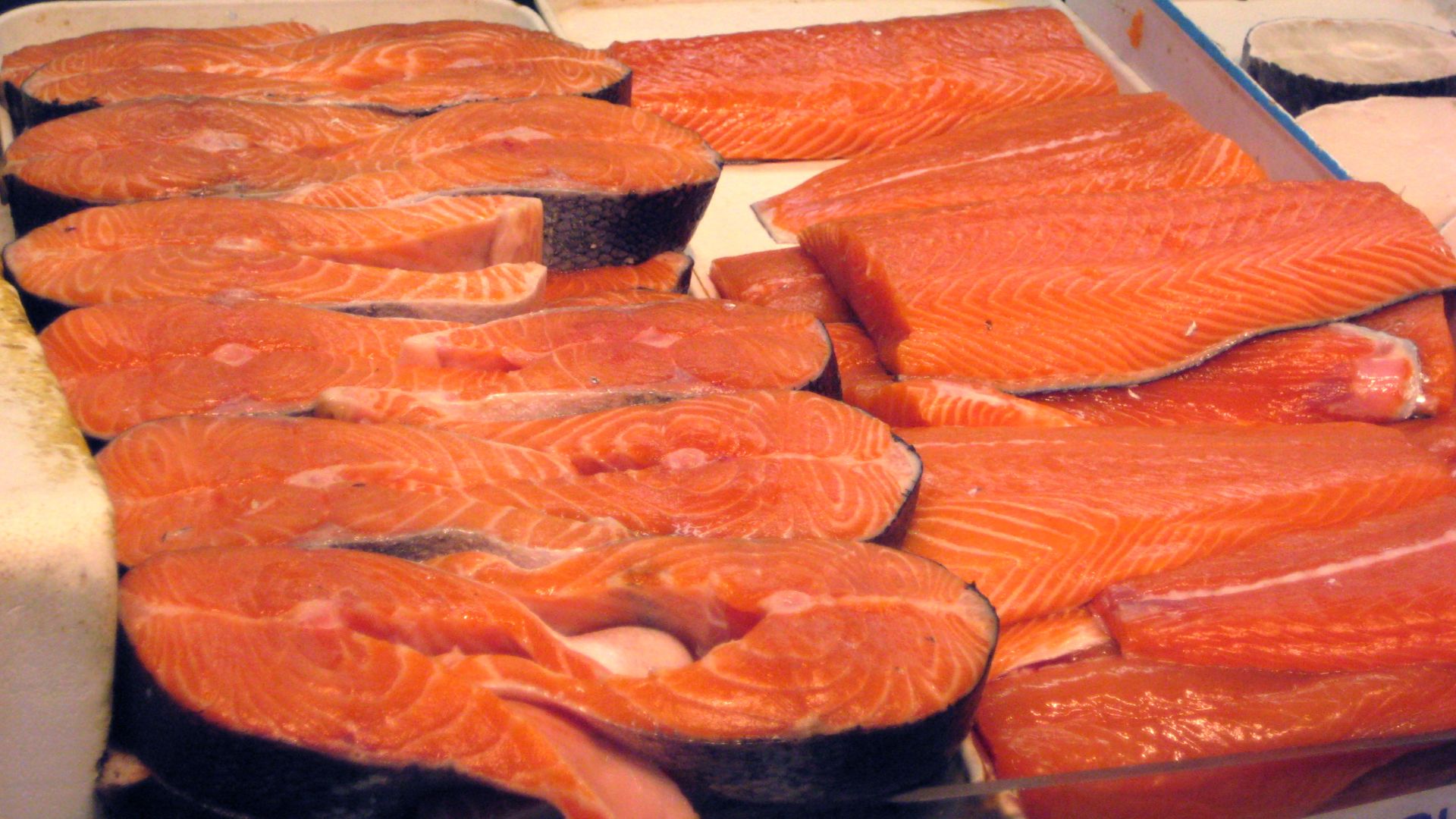 File:Salmon Fish.JPG