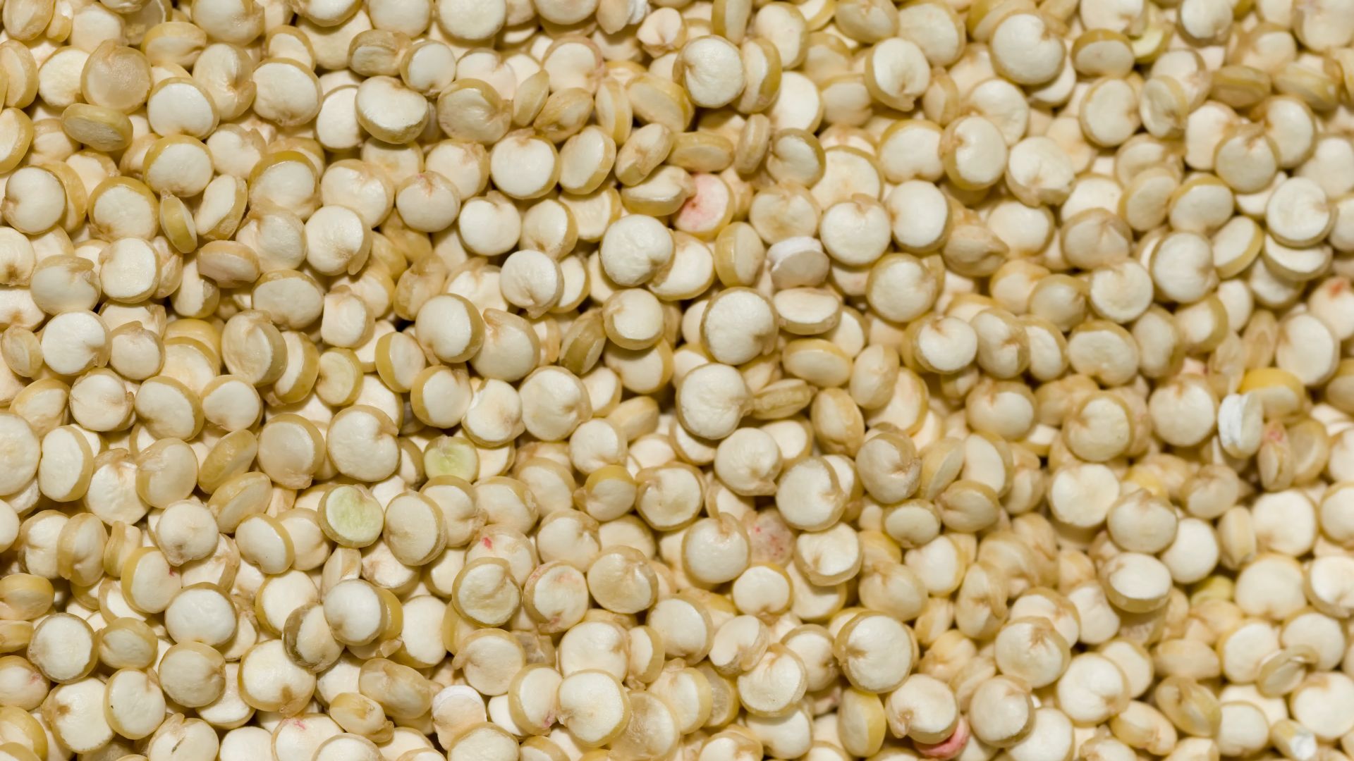 File:Quinoa closeup.jpg