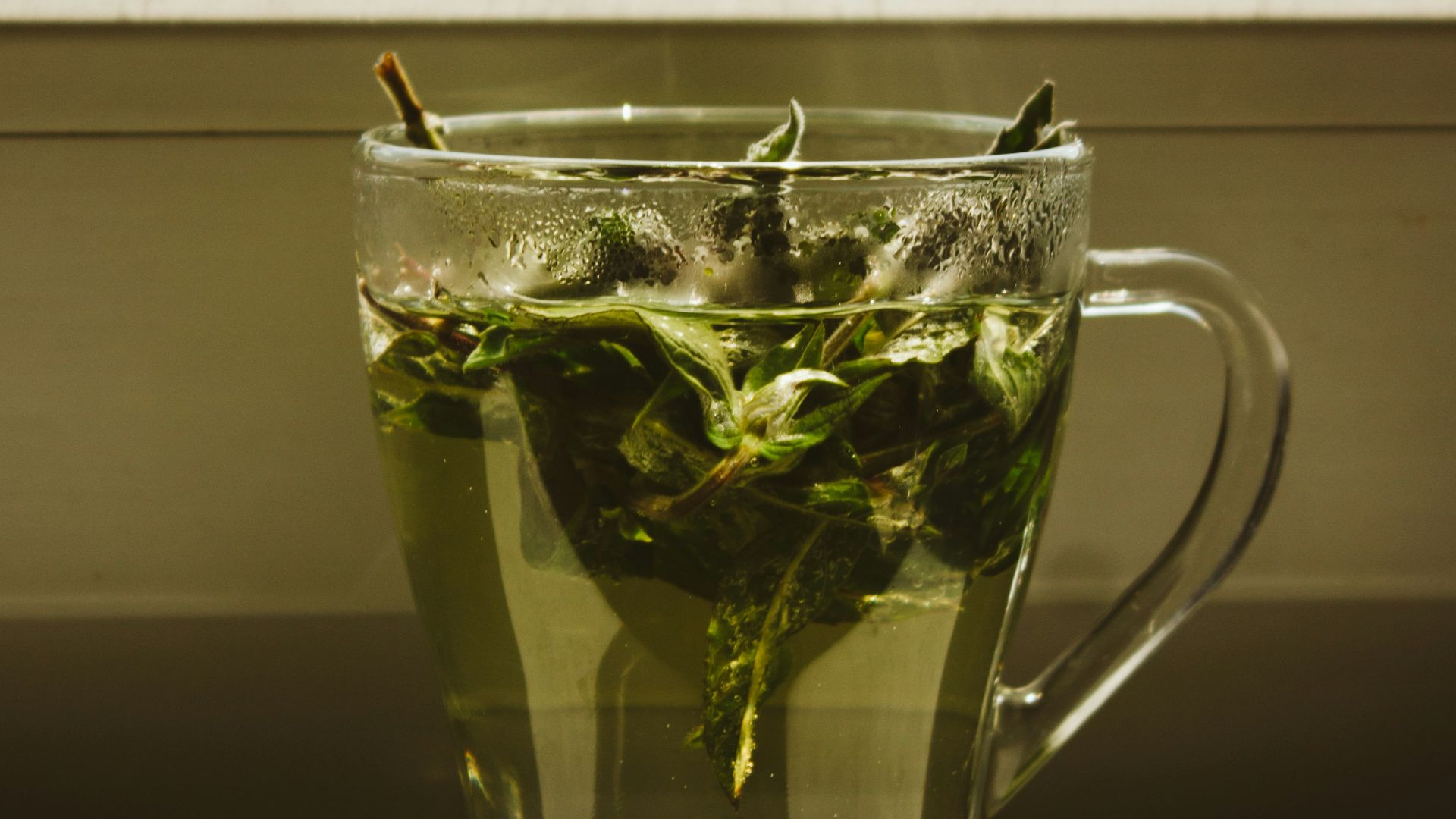 green leaf in clear glass mug