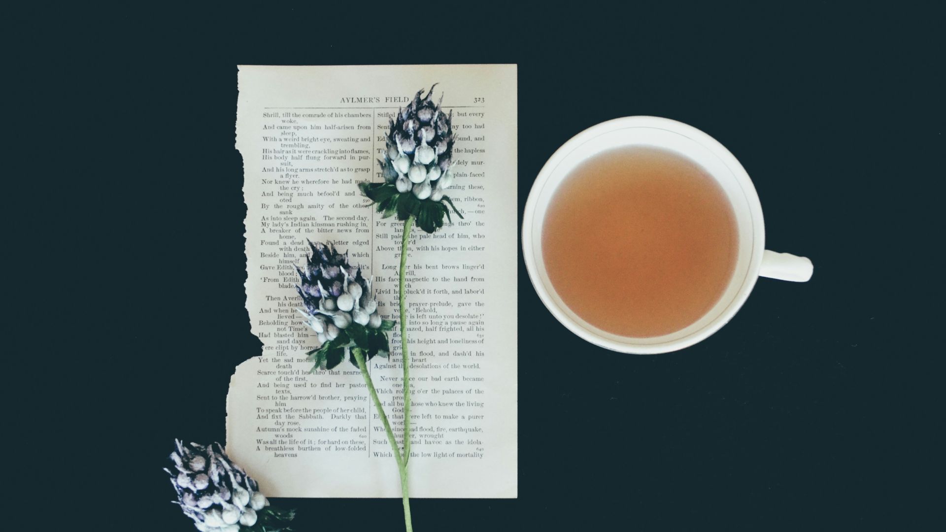 white ceramic tea cup beside white flowers