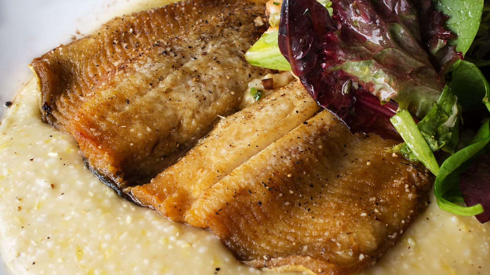 File:Sautéed North Carolina Rainbow Trout (7192095886).jpg