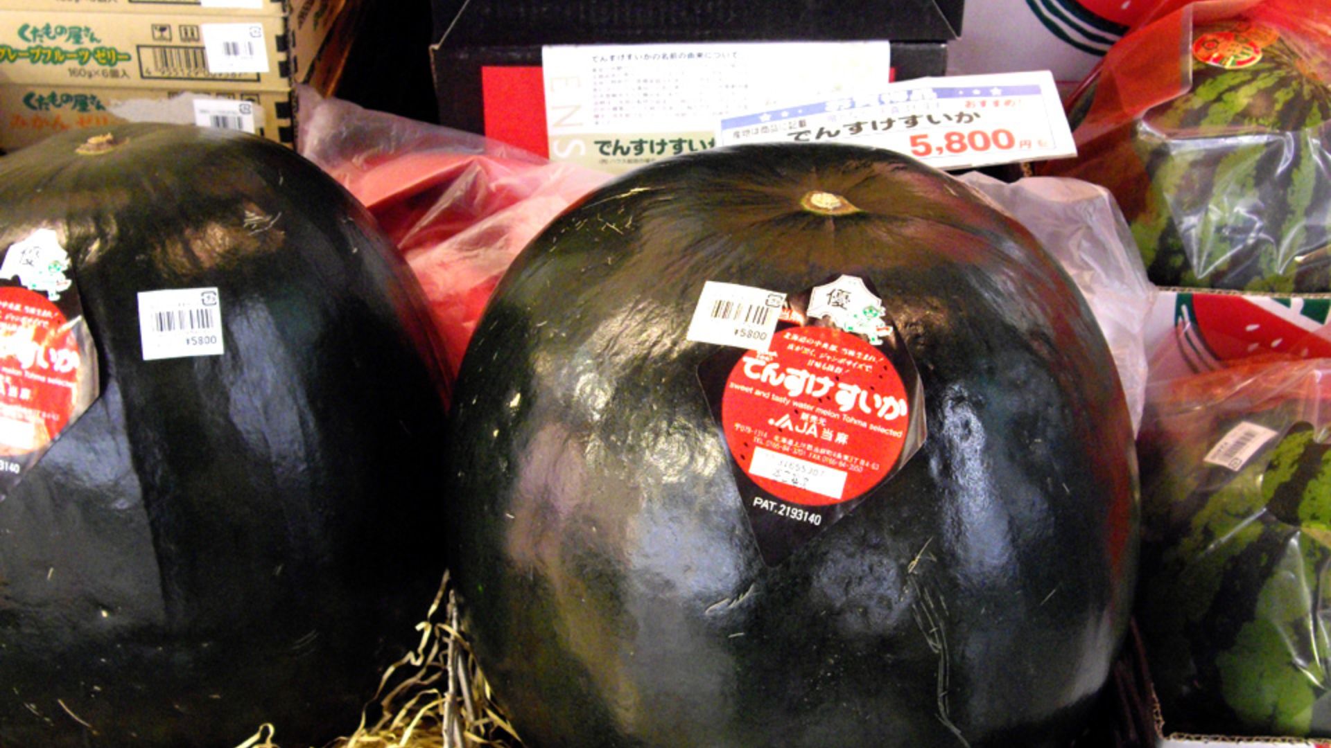 File:Densuke watermelon.jpg