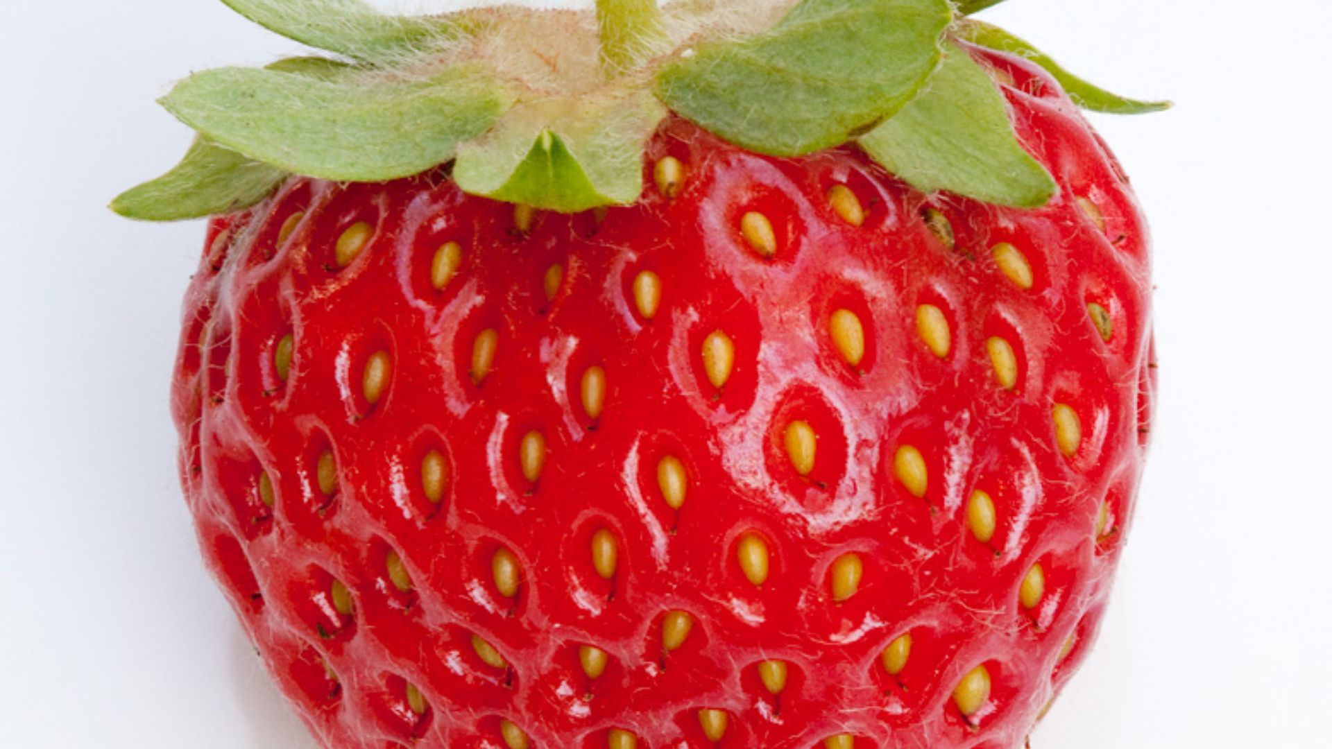 File:Perfect strawberry (3613641379).jpg