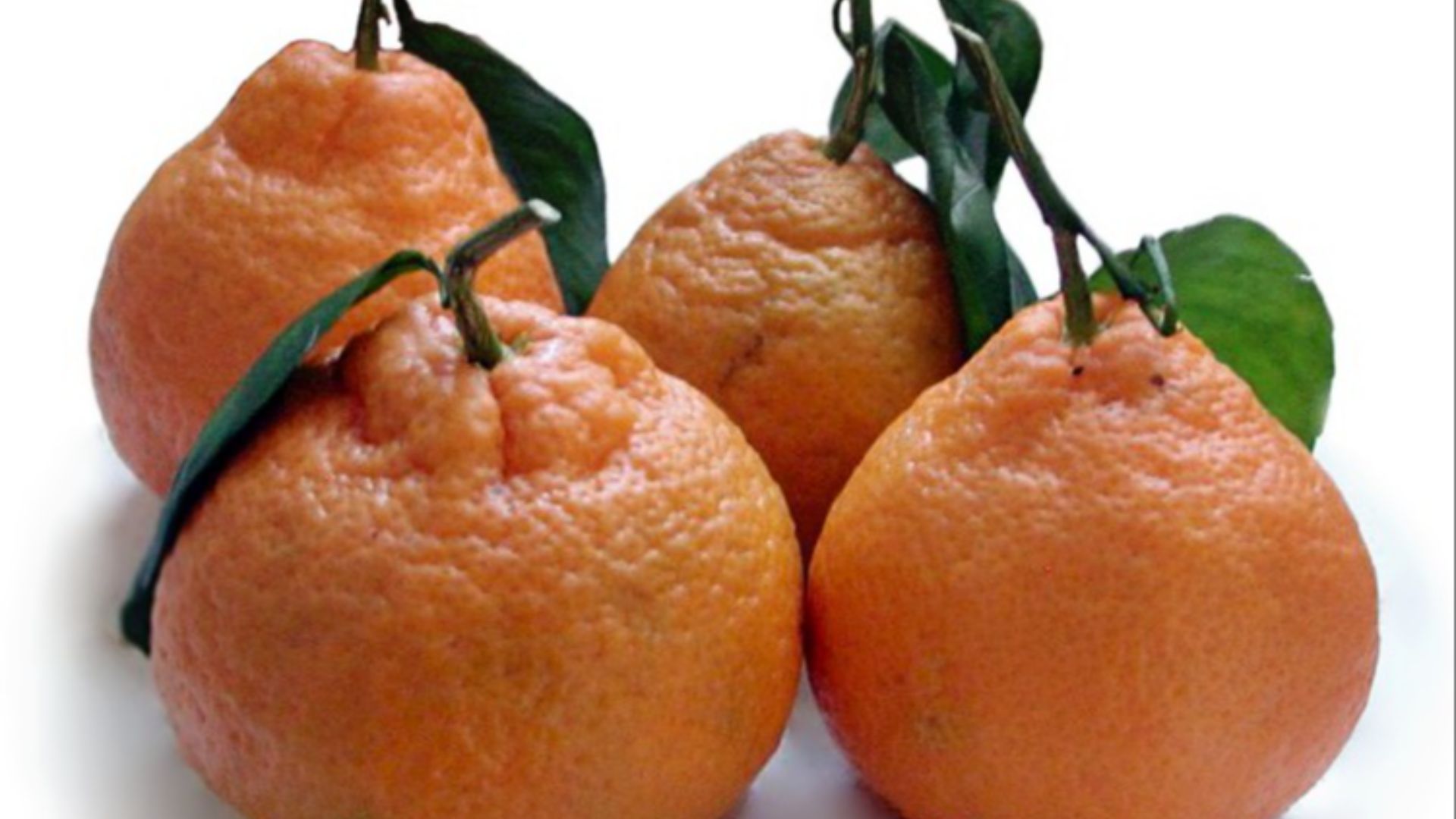 File:Satsuma mandarin-cutout.jpg