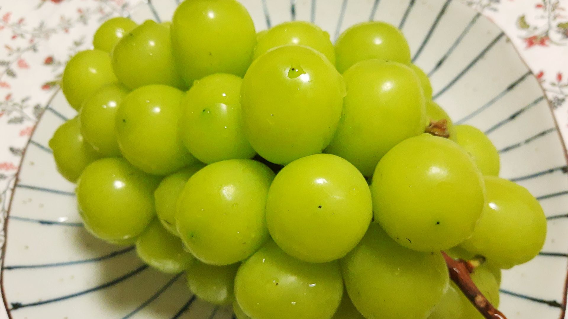 File:Shine muscat grapes.jpg