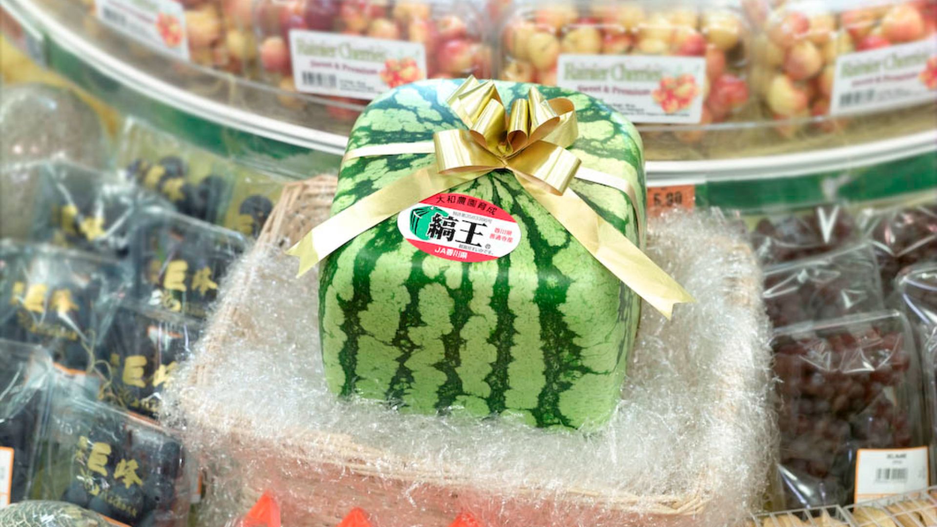 File:Japanese Cubic Watermelon.jpg