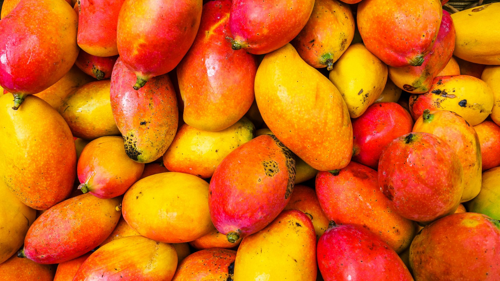 yellow and red fruit lot