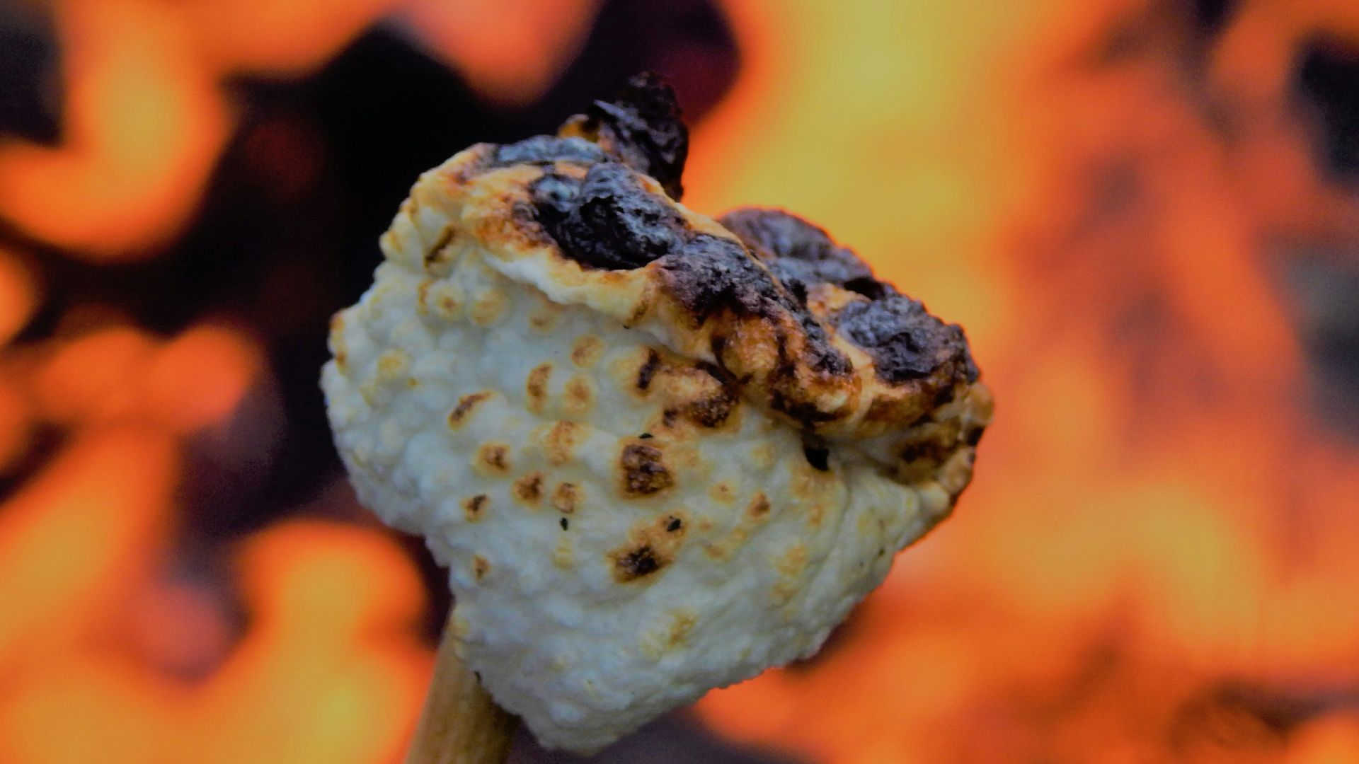 a close up of a piece of food on a stick