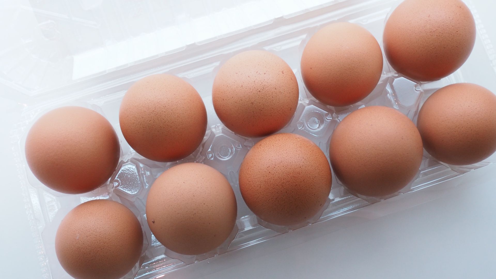 File:Eggs 20220410 173301.jpg