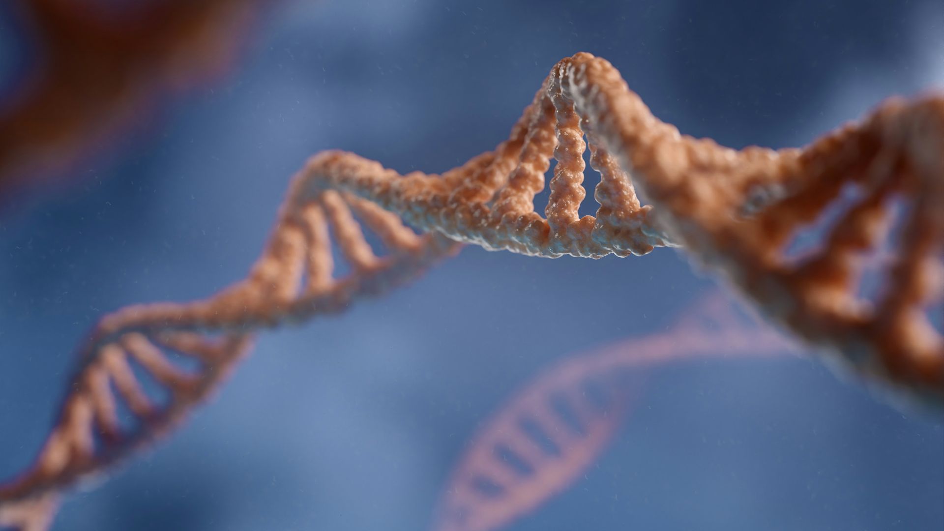 a close up of a structure with a blue background