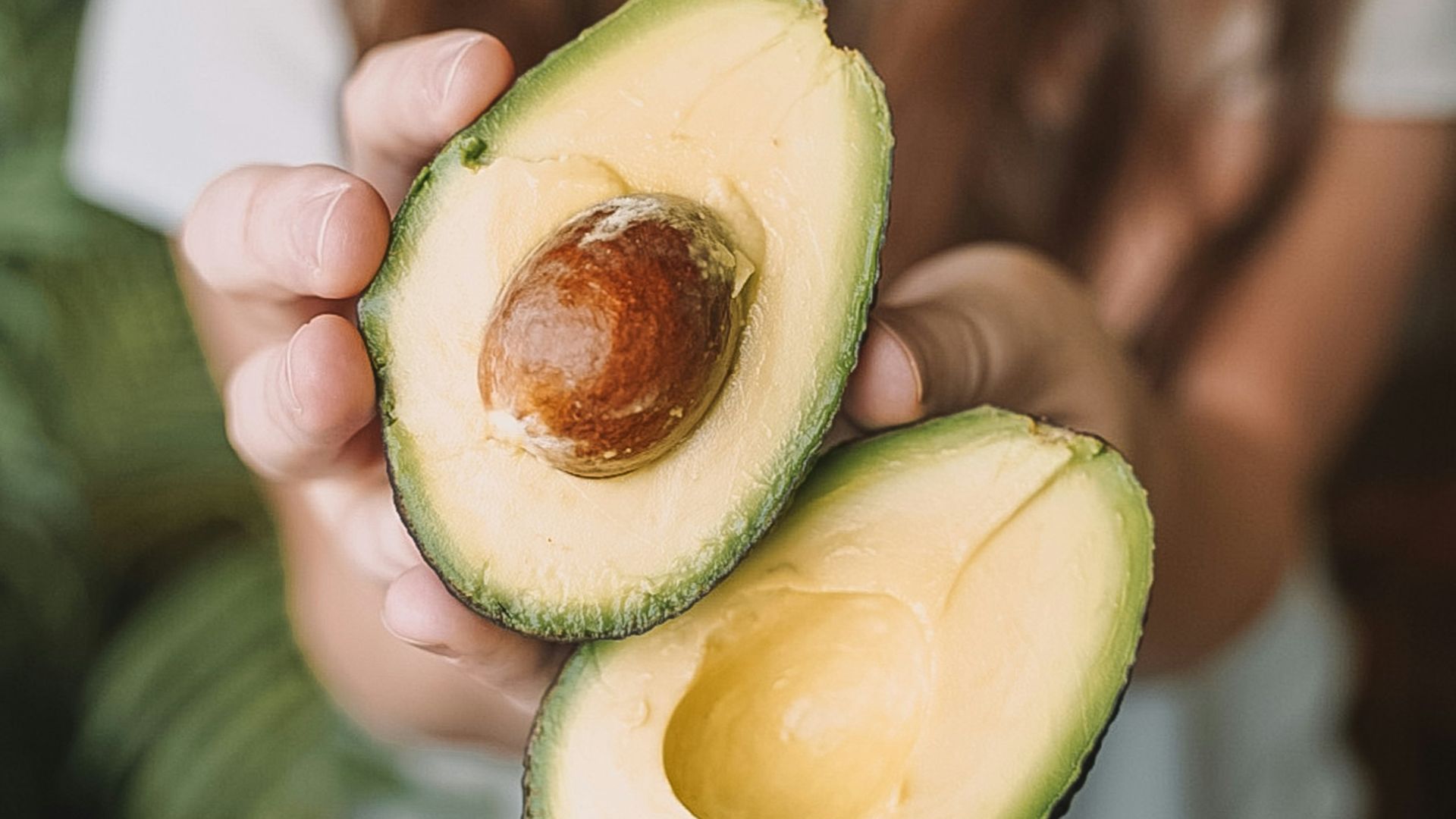 sliced avocado fruit on persons hand