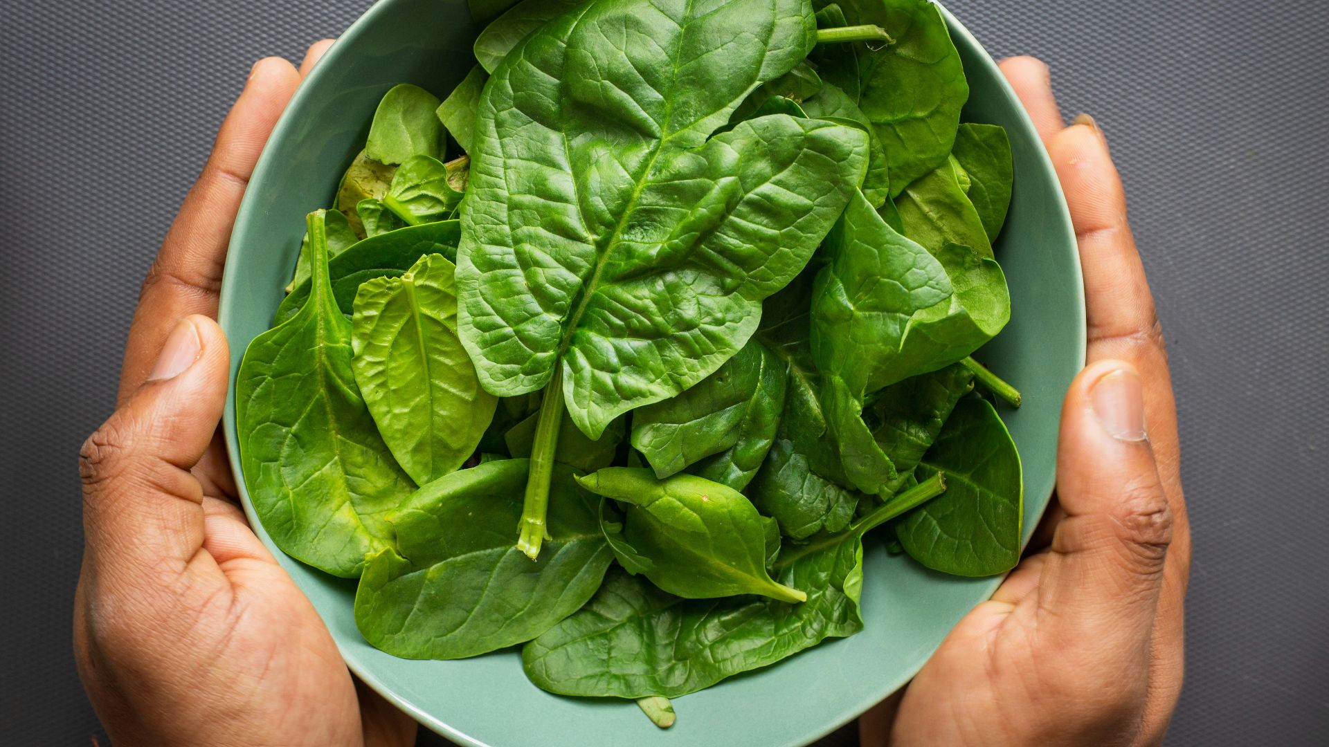 green leaves on blue plastic bowl