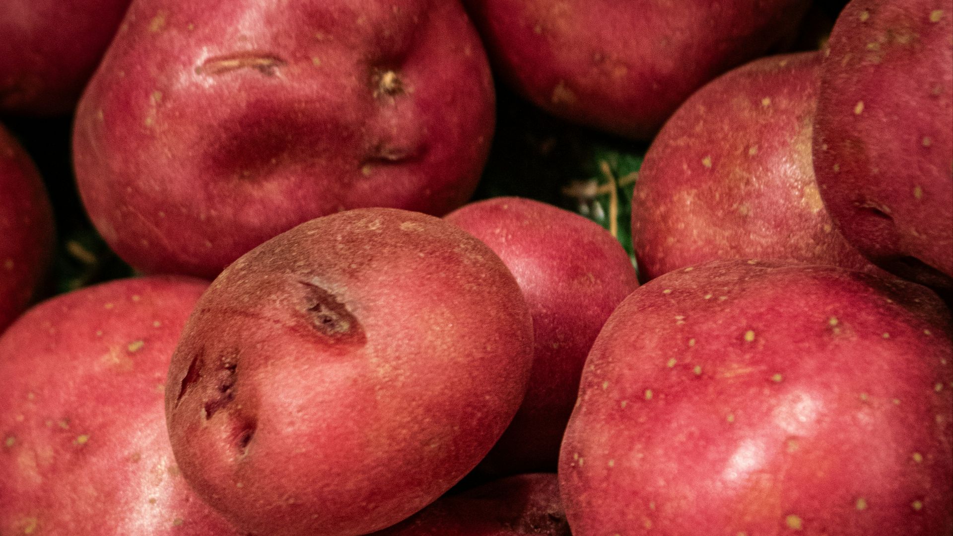 A pile of fresh red potatoes.