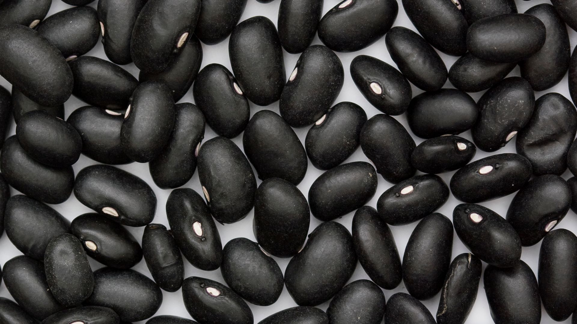 File:Black Turtle Bean.jpg