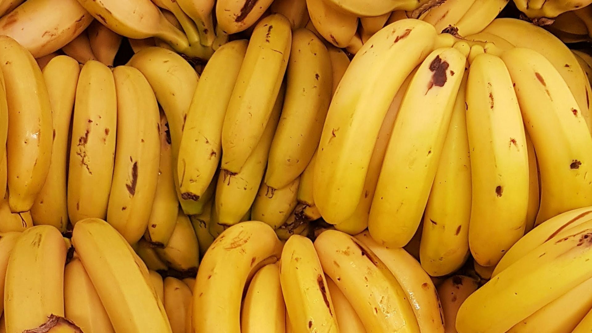 yellow banana fruit on brown wooden table