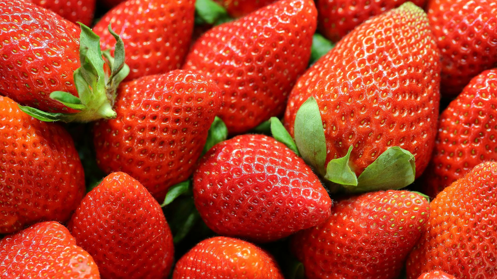 strawberry lot