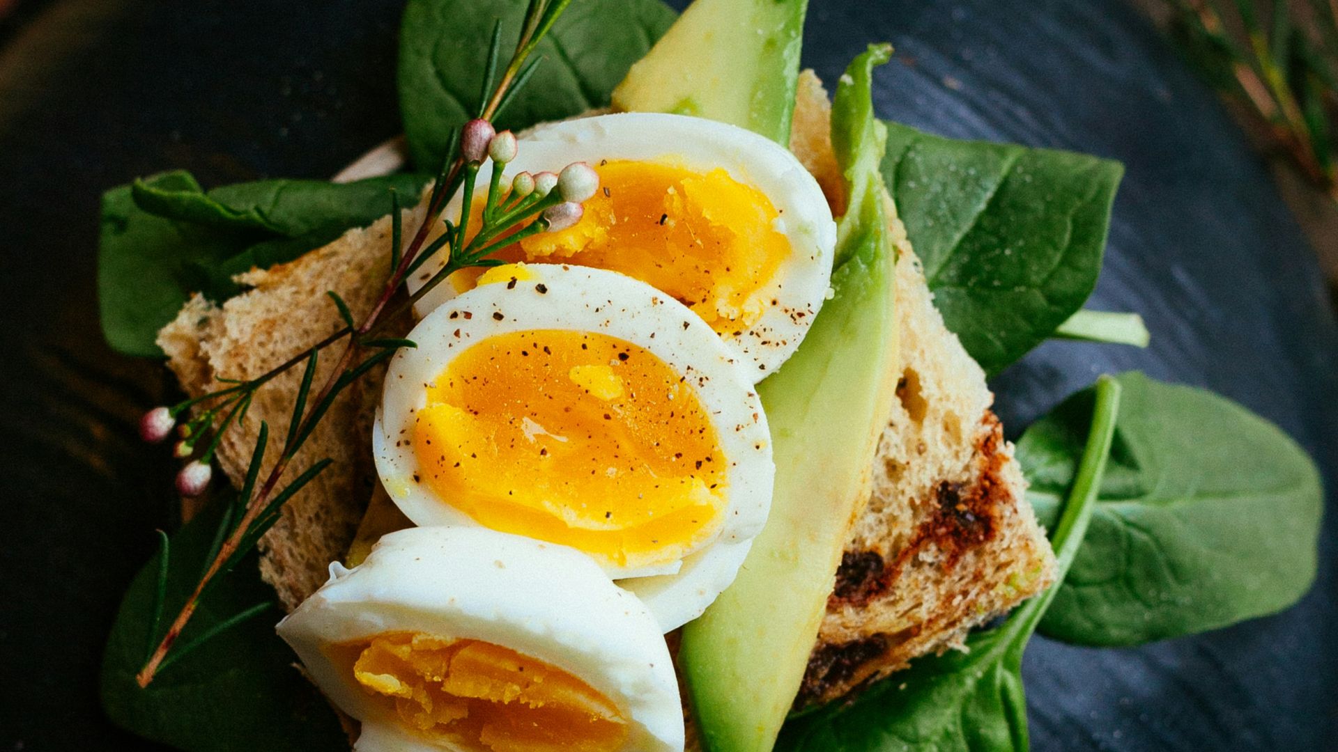 sandwich with boiled egg