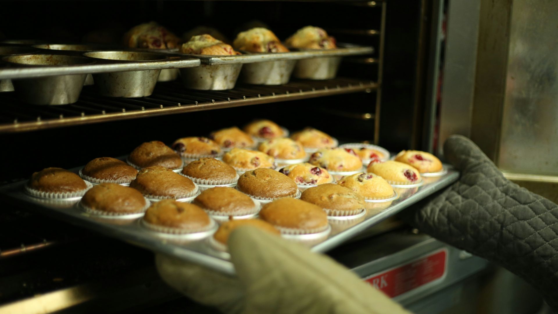 person holds tray of muffins on tray