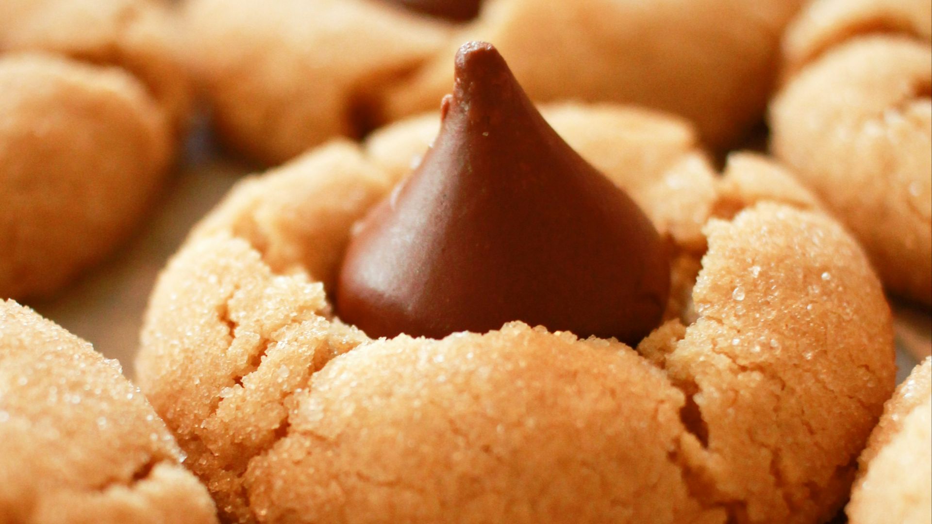 close photography of biscuits with chocolates