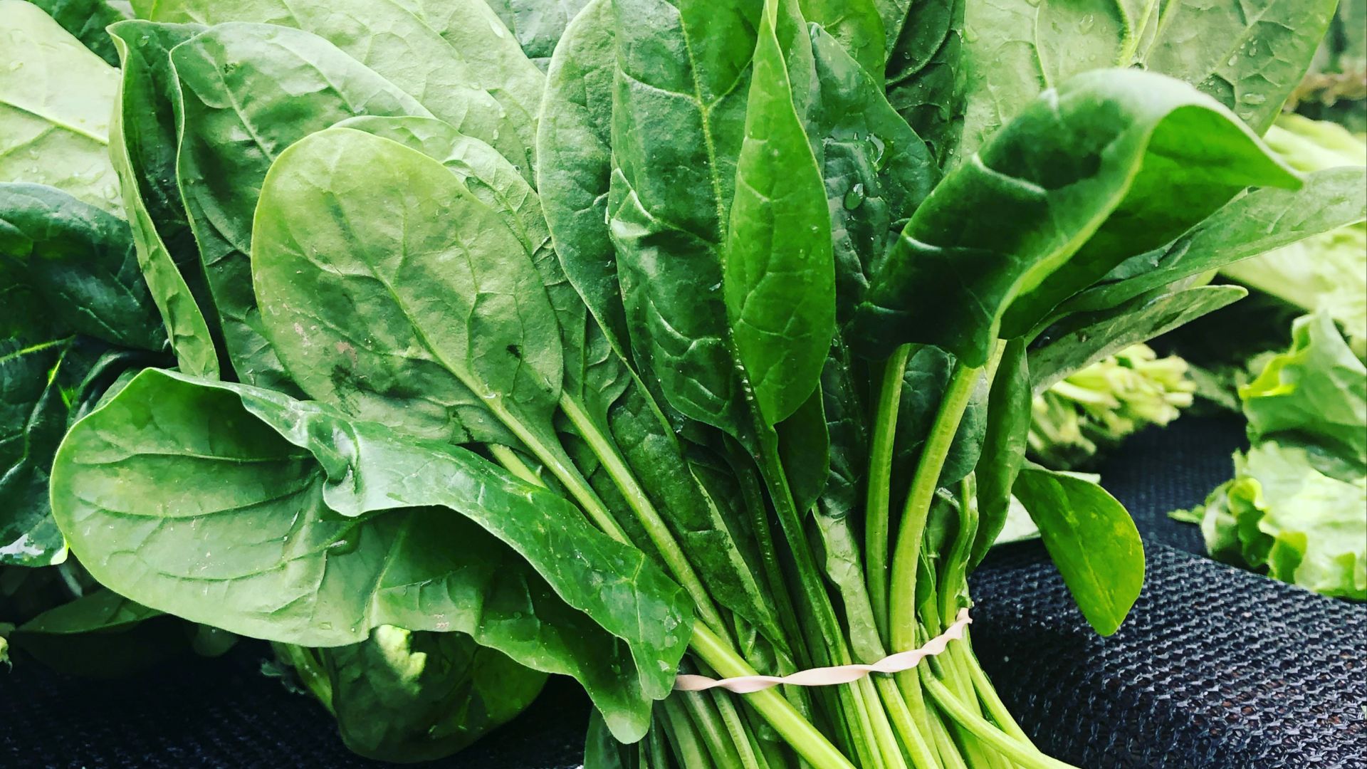 green leafy vegetables