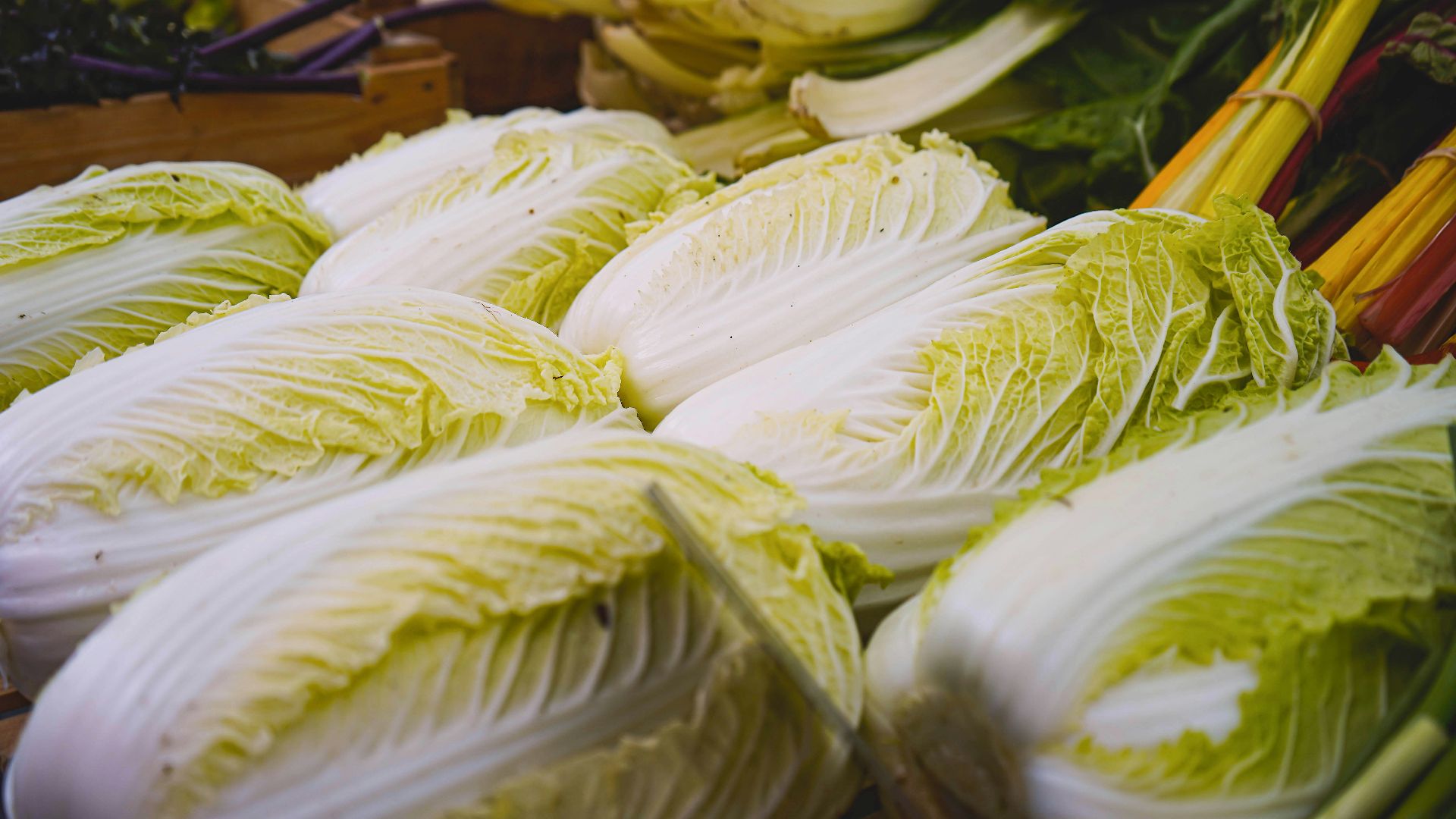 a bunch of white and yellow corn