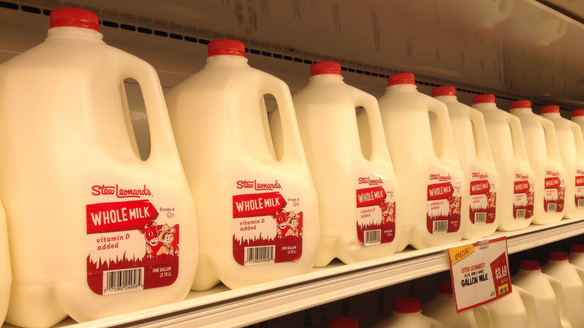File:Whole milk aisle (17132962560).jpg