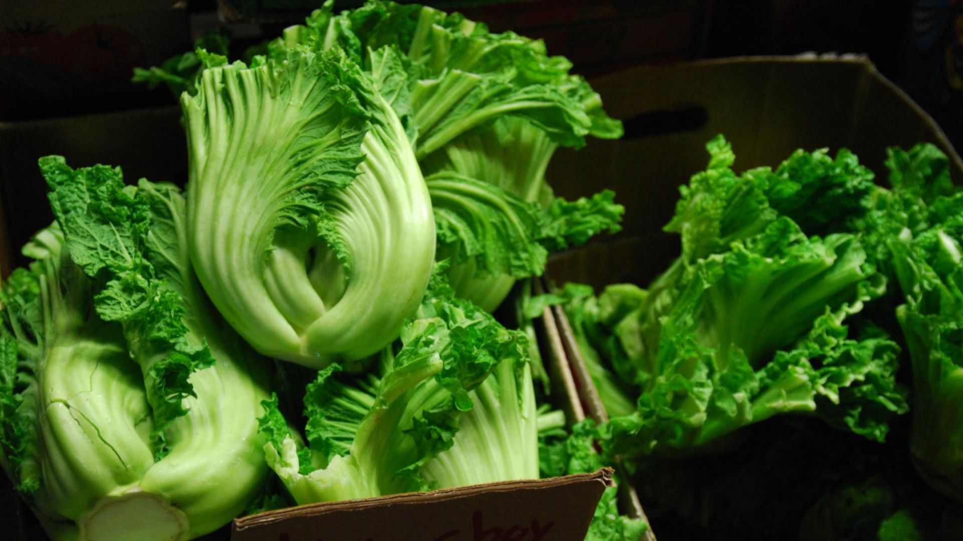 File:Gai Choi Mustard Greens - J K Asian Grocery (5050526668).jpg