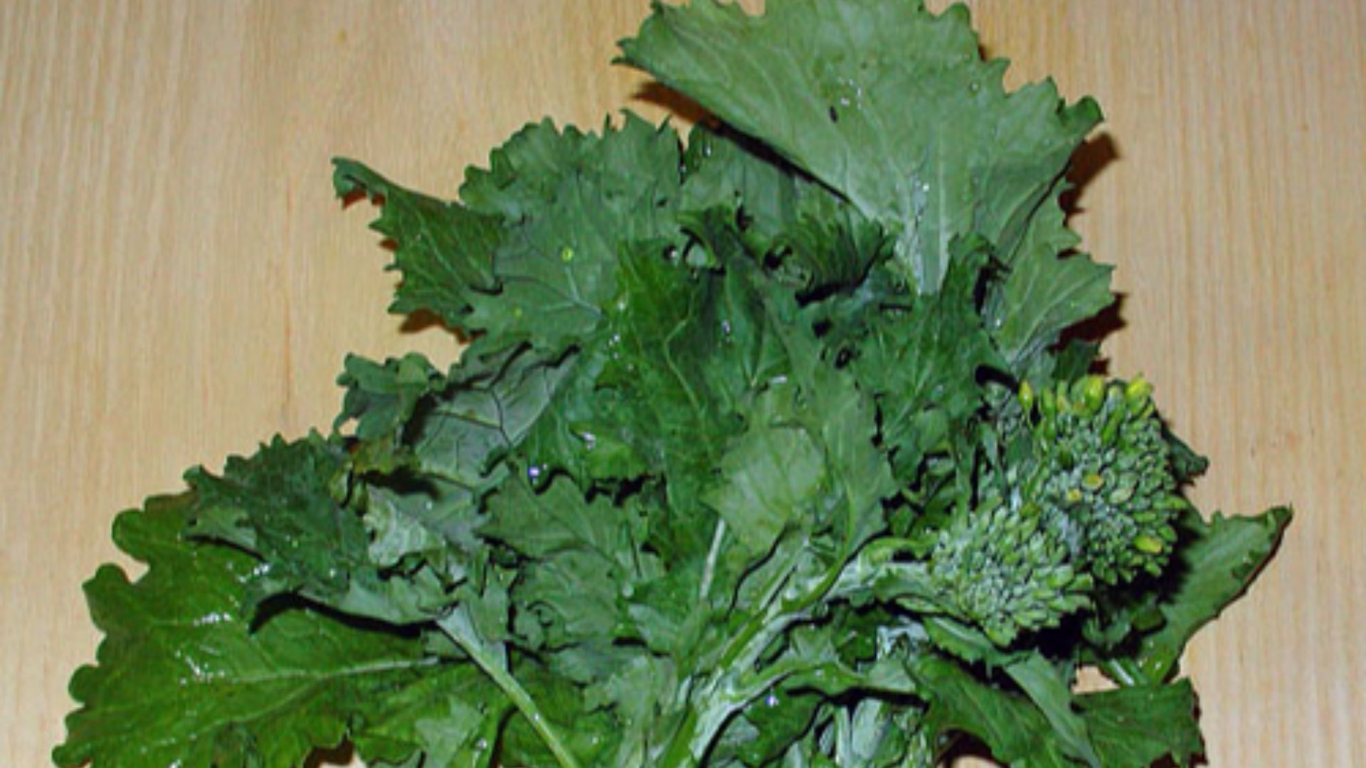 File:Rapini.jpg