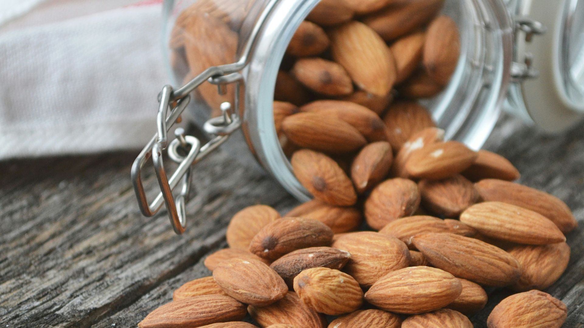 close up photo of Almonds
