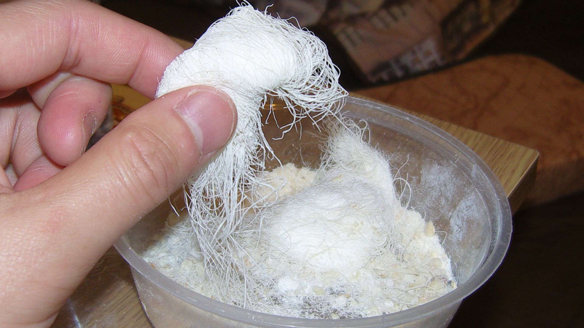 File:Dragons beard candy.JPG