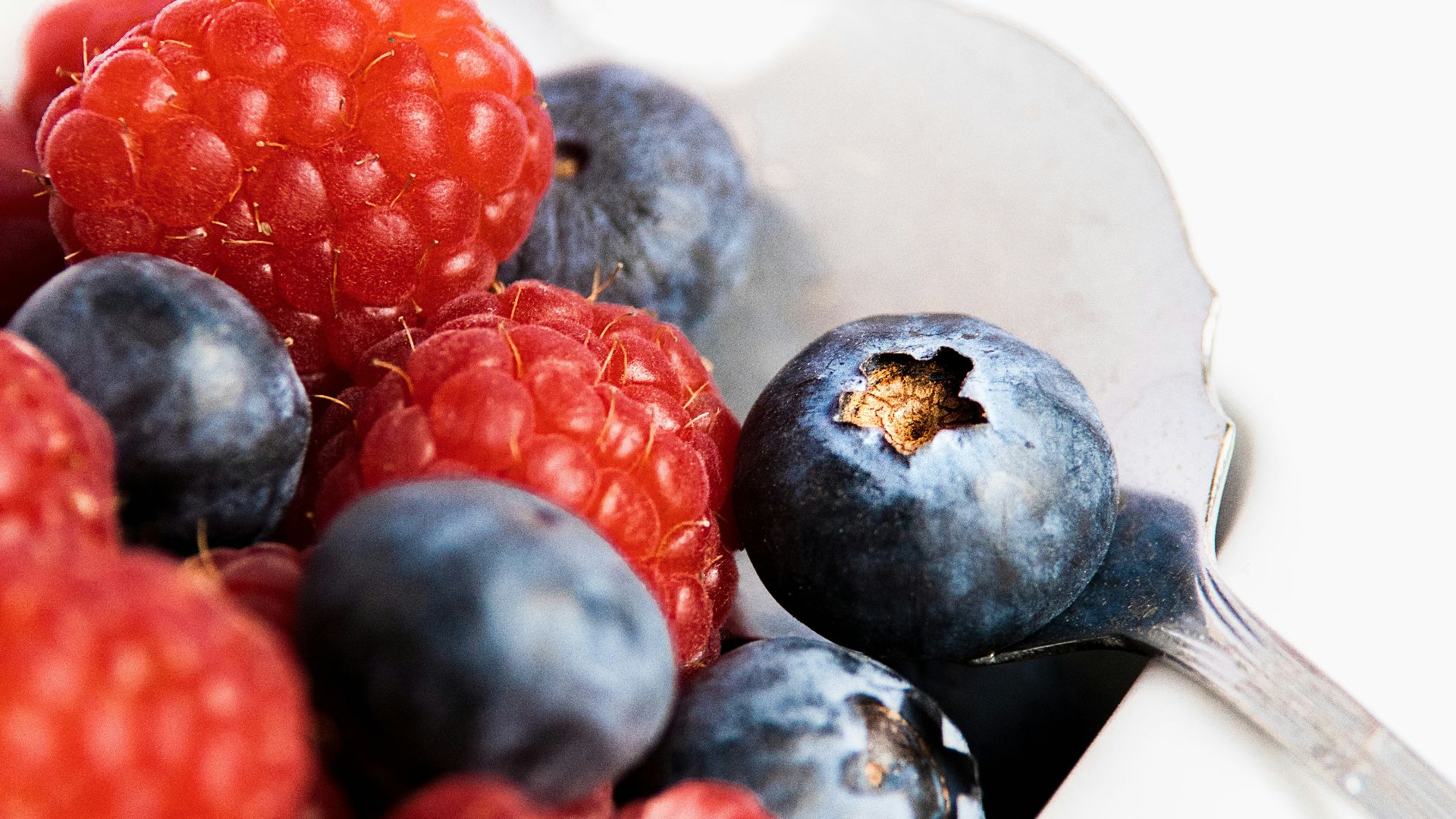 red and black berries on white ceramic plate