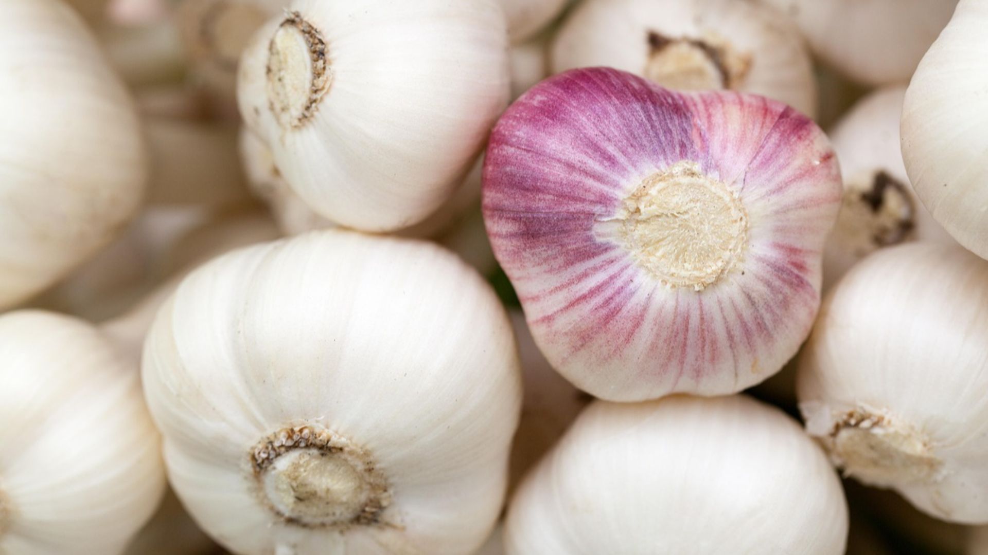 PublicDomainPictures